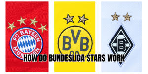 how do bundesliga stars work